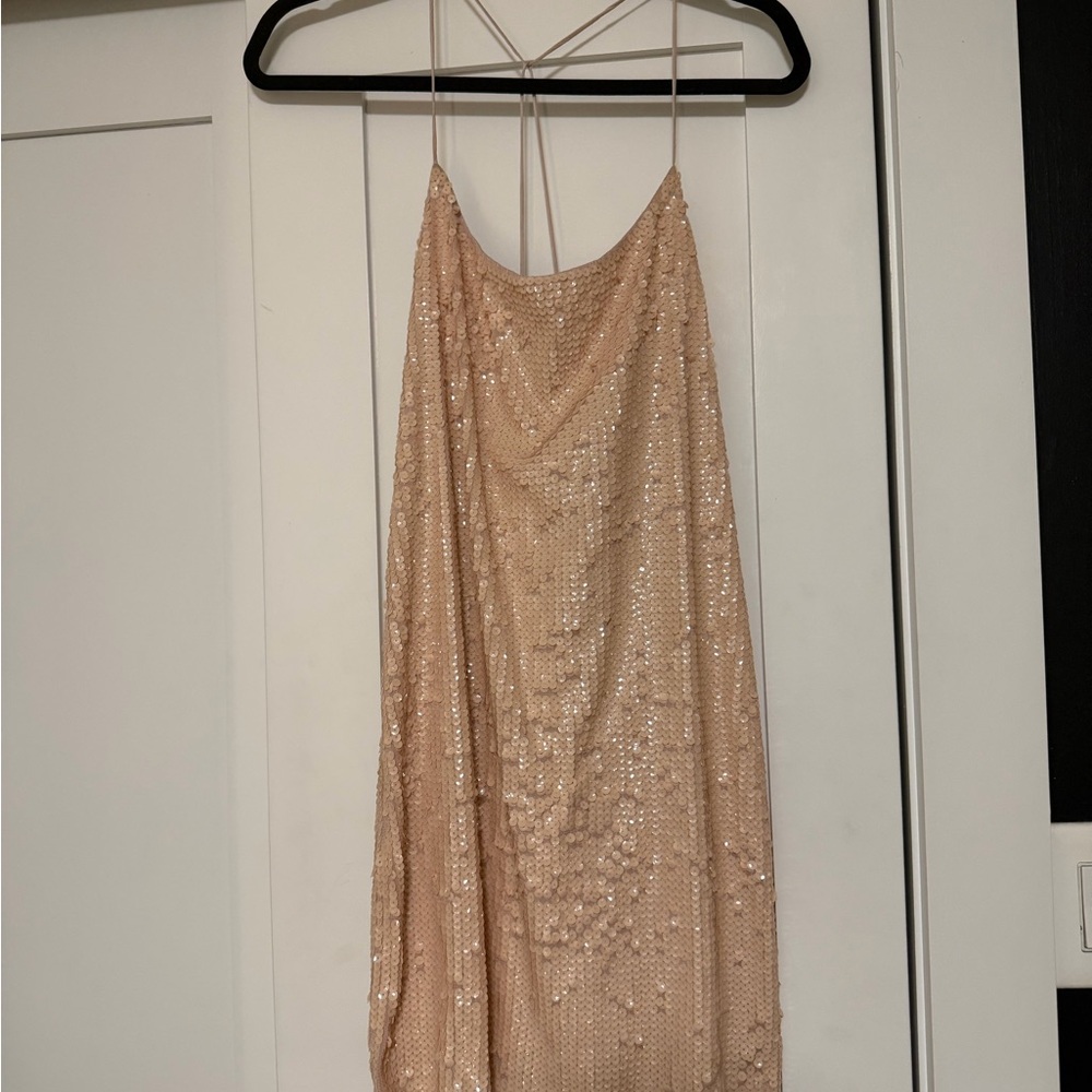 Express Size XS Sequin Slip Dress in Champagne Pink